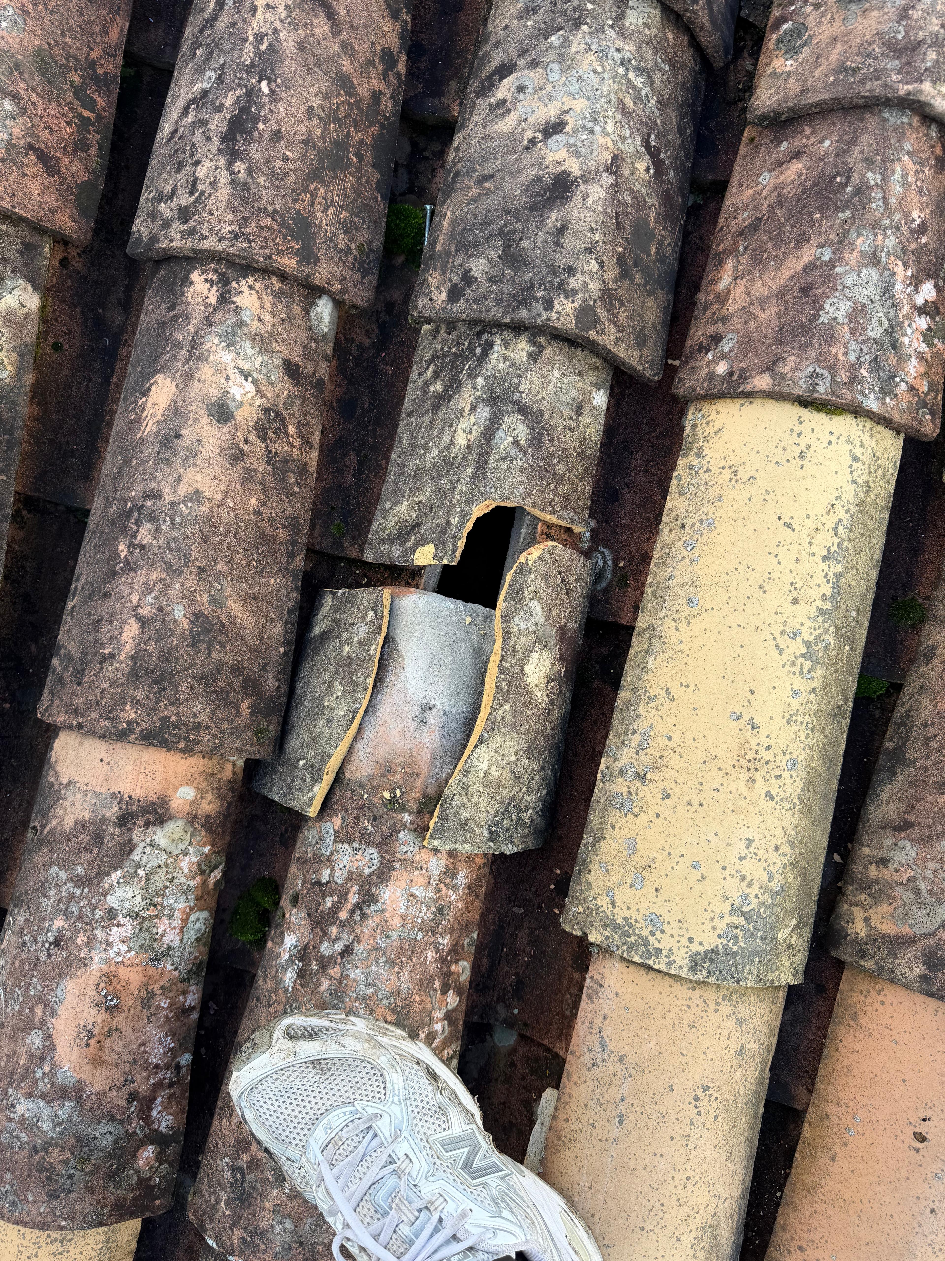 Remplacement closoire chantier gironde